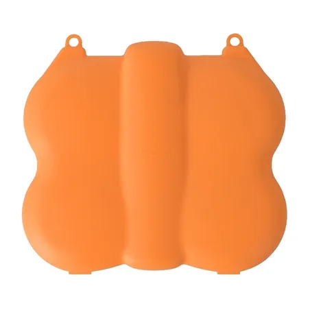 Sunnylife Mini Case with Carabiner for NEO 2, Orange